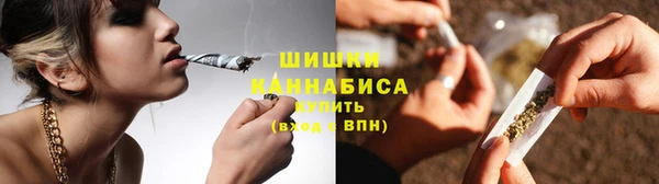 spice Аша