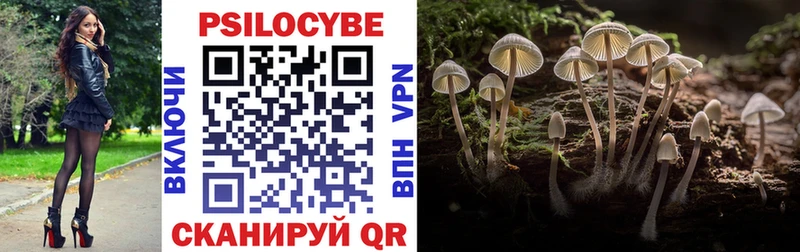 сколько стоит  Лодейное Поле  Псилоцибиновые грибы GOLDEN TEACHER 